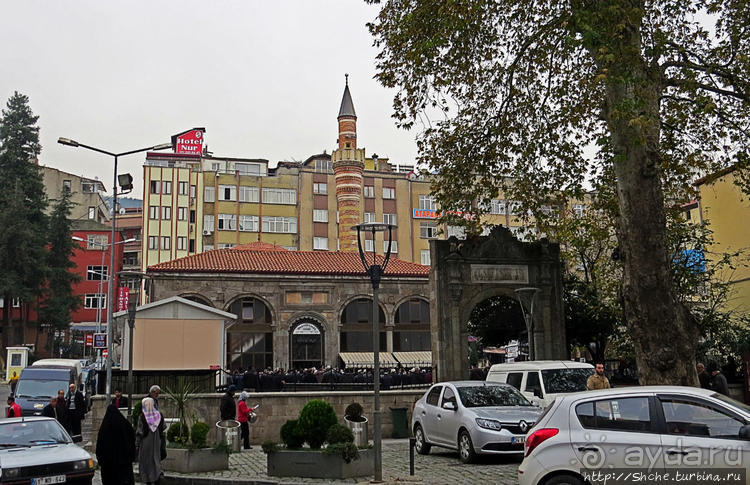 Трабзон черноморский