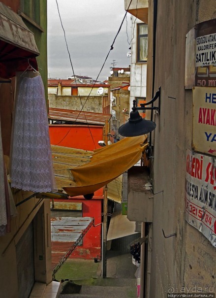 Трабзон черноморский