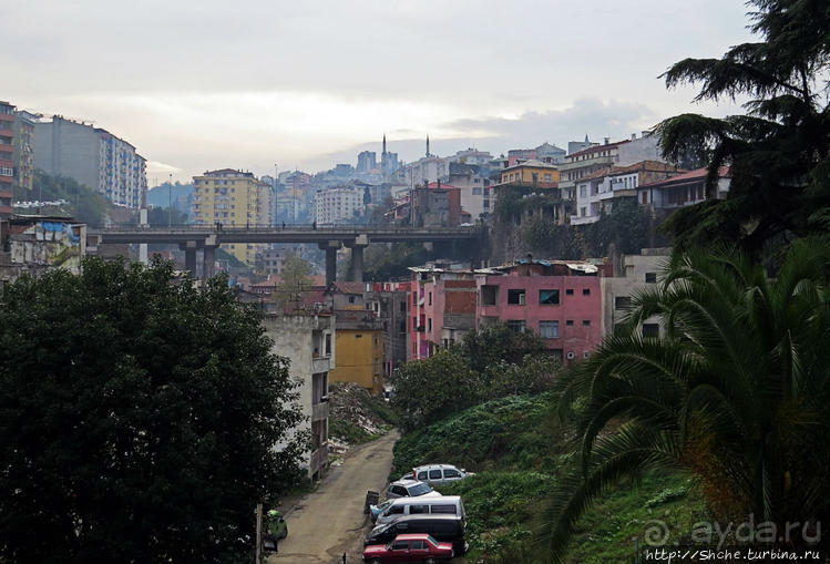 Трабзон черноморский