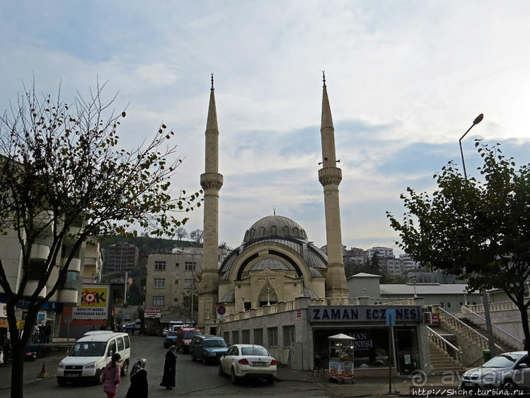 Трабзон черноморский