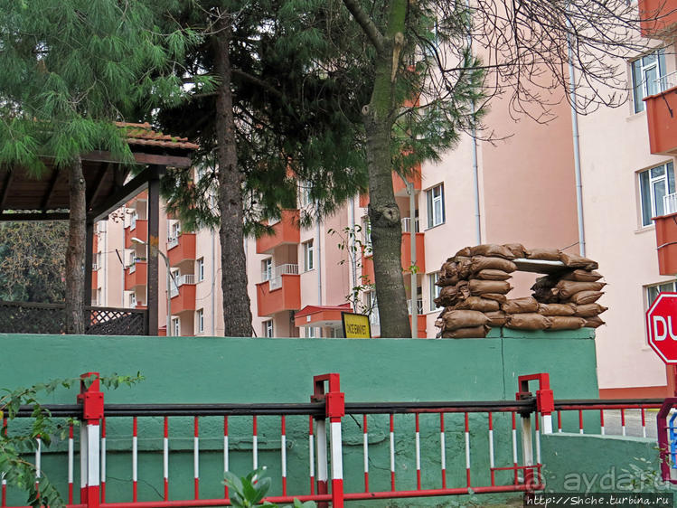 Трабзон черноморский