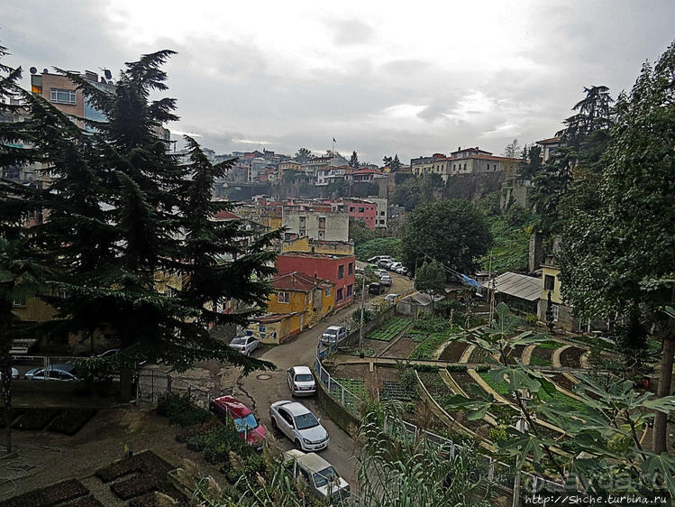 Трабзон черноморский