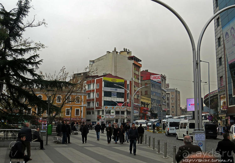 Трабзон черноморский