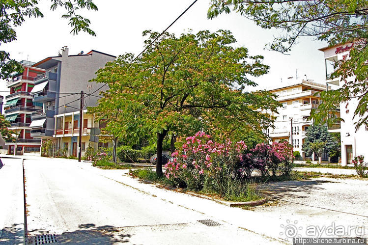 Ах, Эдесса, жемчужина ... на горке