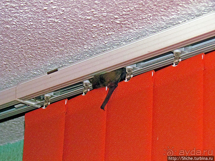 Дешевый гестхауз (только ночлег) среди Белоградчиских гор