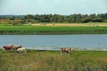 Остров Ирландия. 10 дней