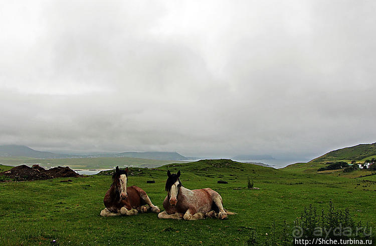 Остров Ирландия. 10 дней