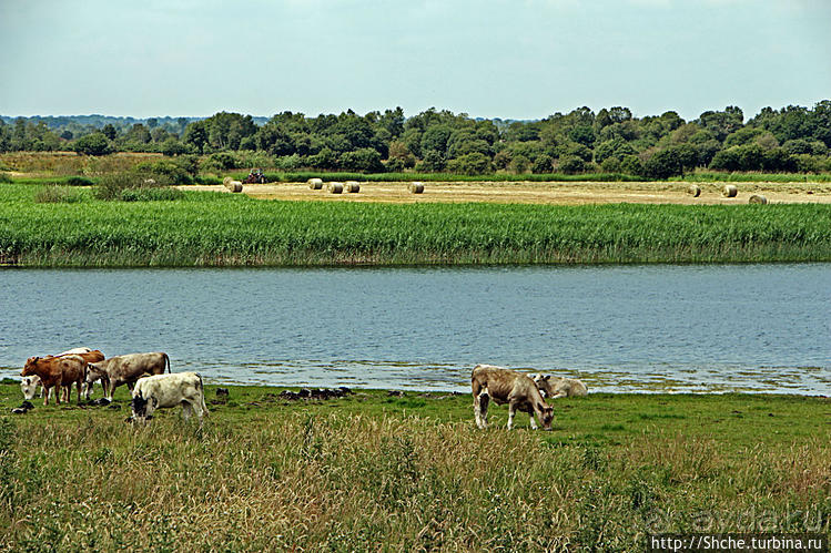 Остров Ирландия. 10 дней