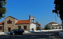 Греческие картинки — сосны да оливки (обычный фотоальбом)