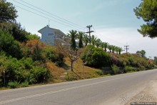 Греческие картинки — сосны да оливки (обычный фотоальбом)