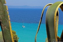 Греческие картинки — сосны да оливки (обычный фотоальбом)