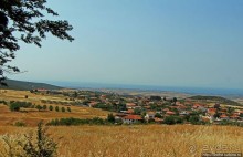 Греческие картинки — сосны да оливки (обычный фотоальбом)