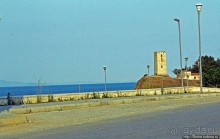 Греческие картинки — сосны да оливки (обычный фотоальбом)