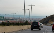 Греческие картинки — сосны да оливки (обычный фотоальбом)