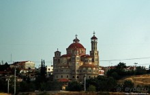 Греческие картинки — сосны да оливки (обычный фотоальбом)