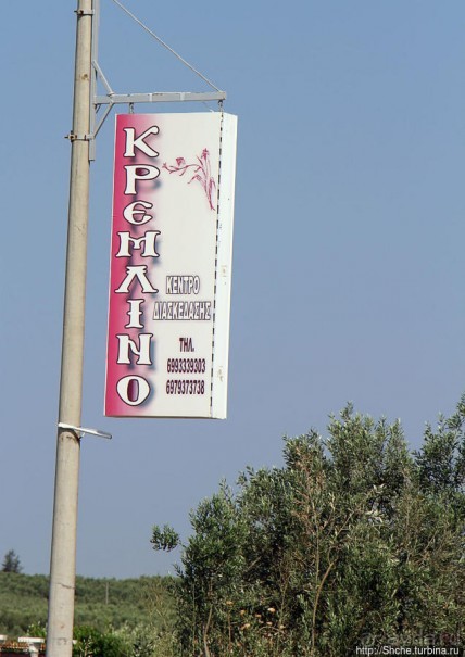 Греческие картинки — сосны да оливки (обычный фотоальбом)