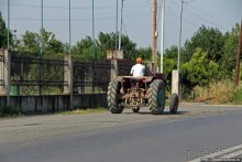 Греческие картинки — сосны да оливки (обычный фотоальбом)