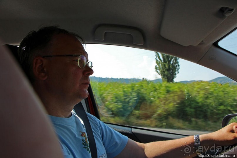 Греческие картинки — сосны да оливки (обычный фотоальбом)