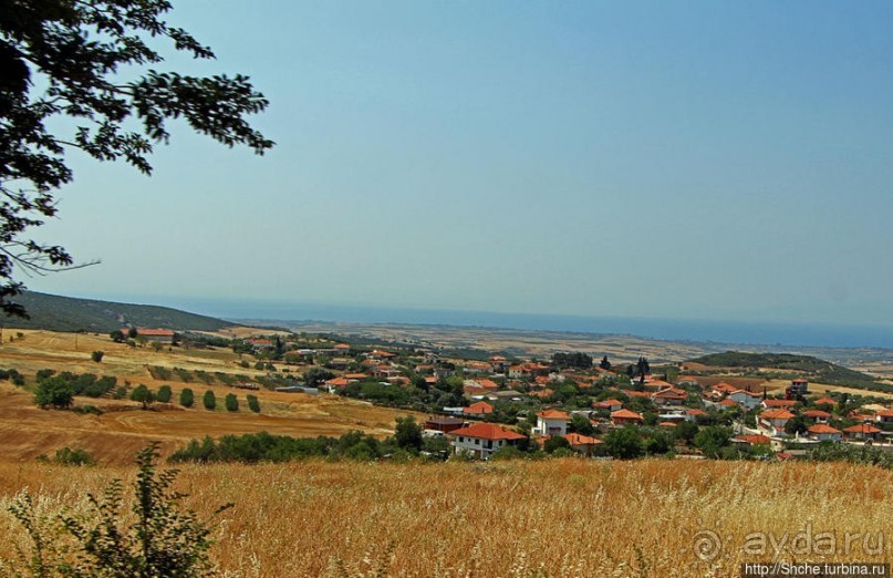 Греческие картинки — сосны да оливки (обычный фотоальбом)