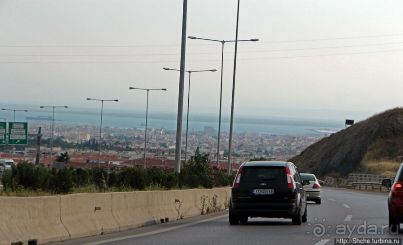 Греческие картинки — сосны да оливки (обычный фотоальбом)