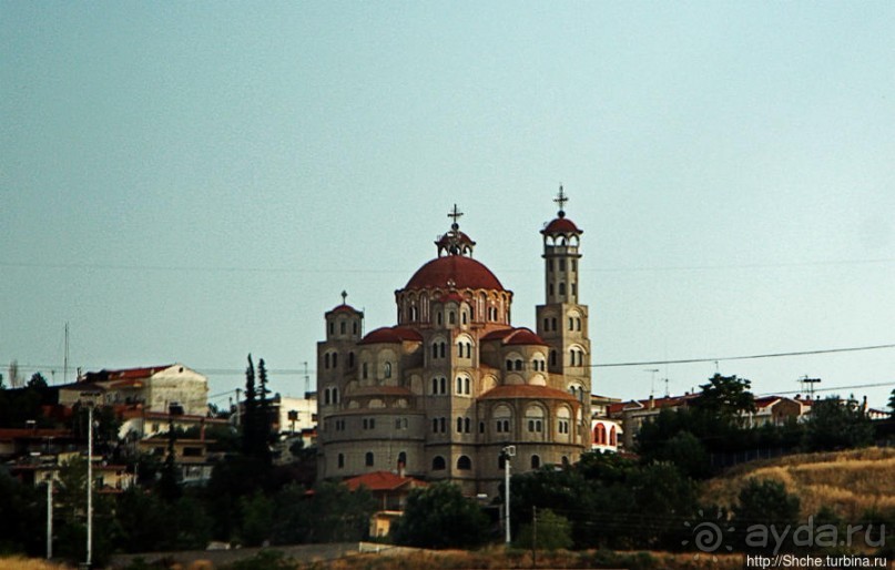 Греческие картинки — сосны да оливки (обычный фотоальбом)