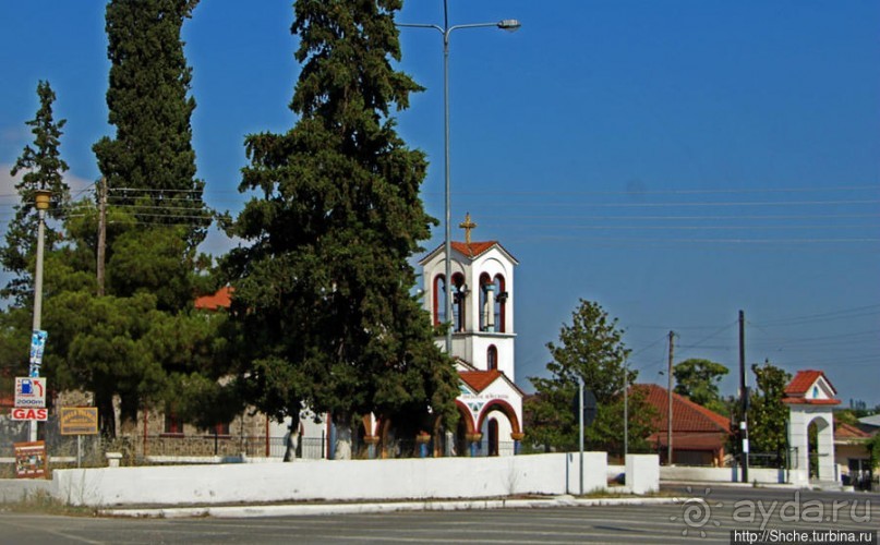 Греческие картинки — сосны да оливки (обычный фотоальбом)