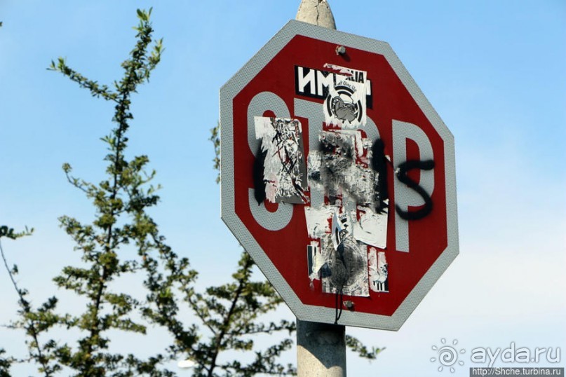 Греческие картинки — сосны да оливки (обычный фотоальбом)