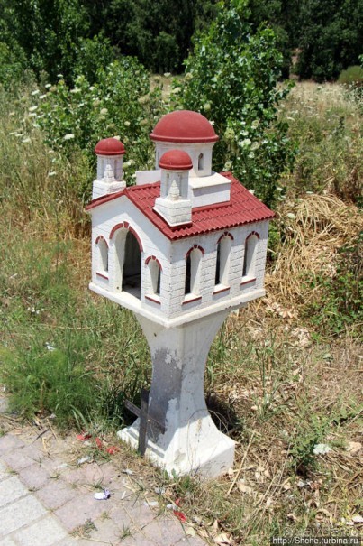 Греческие картинки — сосны да оливки (обычный фотоальбом)