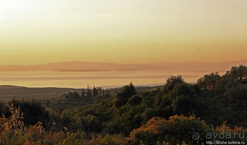 Греческие картинки — сосны да оливки (обычный фотоальбом)
