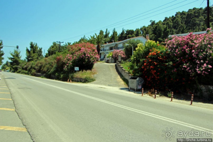 Греческие картинки — сосны да оливки (обычный фотоальбом)