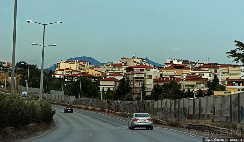 Греческие картинки — сосны да оливки (обычный фотоальбом)