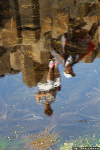 Мы с женой на "Тропе Bеликана"