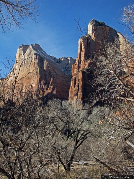Погружение в каньон Зион. Zion Canyon Scenic Drive