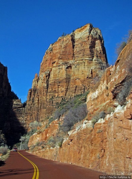 Погружение в каньон Зион. Zion Canyon Scenic Drive