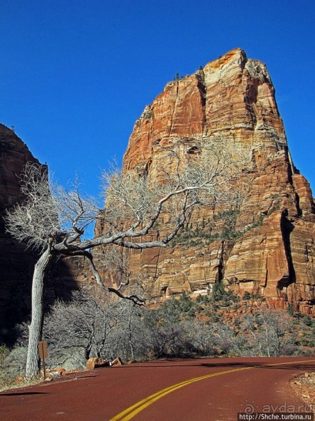 Погружение в каньон Зион. Zion Canyon Scenic Drive