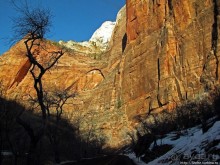 Погружение в каньон Зион. Zion Canyon Scenic Drive