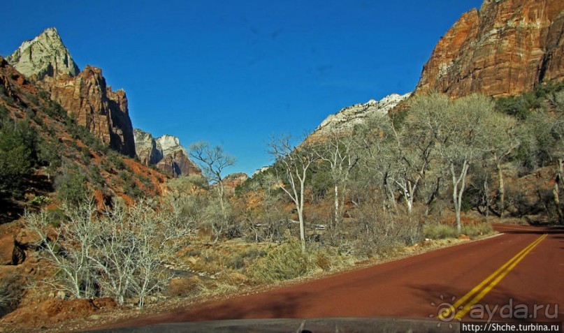Погружение в каньон Зион. Zion Canyon Scenic Drive