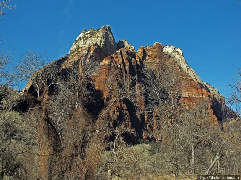 Погружение в каньон Зион. Zion Canyon Scenic Drive