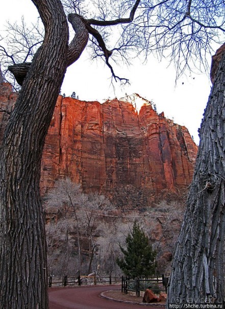Погружение в каньон Зион. Zion Canyon Scenic Drive