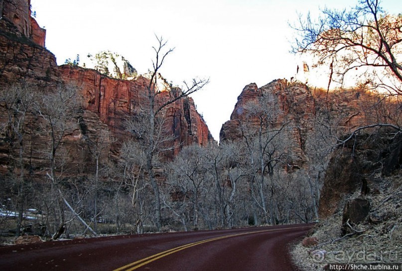 Погружение в каньон Зион. Zion Canyon Scenic Drive