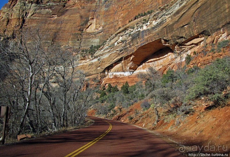 Погружение в каньон Зион. Zion Canyon Scenic Drive