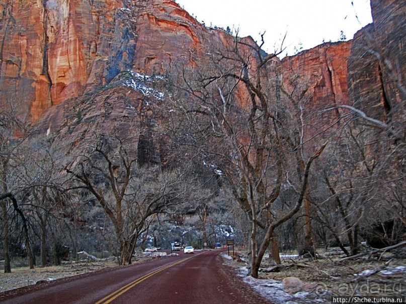 Погружение в каньон Зион. Zion Canyon Scenic Drive