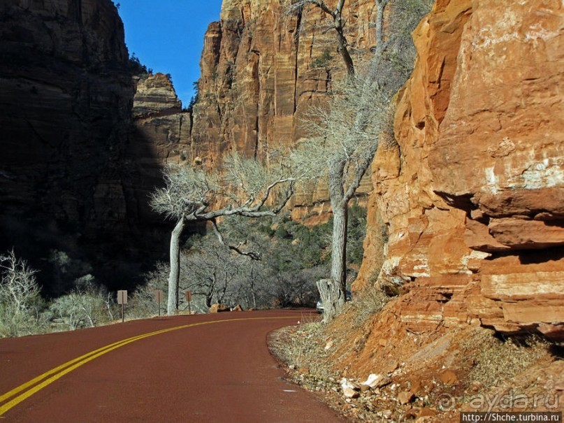 Погружение в каньон Зион. Zion Canyon Scenic Drive