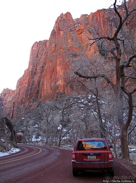 Погружение в каньон Зион. Zion Canyon Scenic Drive