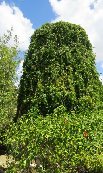 Гарнизон, или половина памятника ЮНЕСКО за оградой отеля
