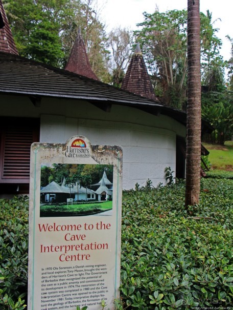 Журчат поземные ручьи