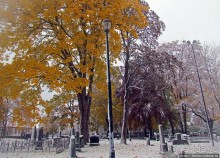 Древнее кладбище у собора Нидаросс, более похожее на парк