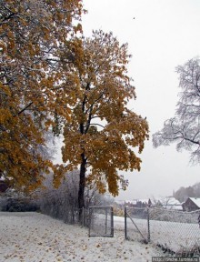 Древнее кладбище у собора Нидаросс, более похожее на парк