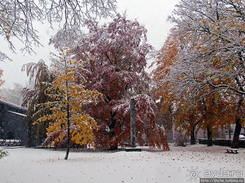 Древнее кладбище у собора Нидаросс, более похожее на парк