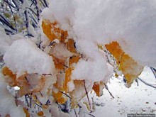 Древнее кладбище у собора Нидаросс, более похожее на парк